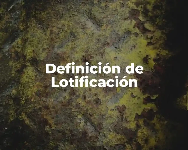 Definición de Lotificación
