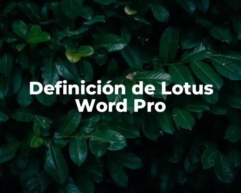 Definición de Lotus Word Pro