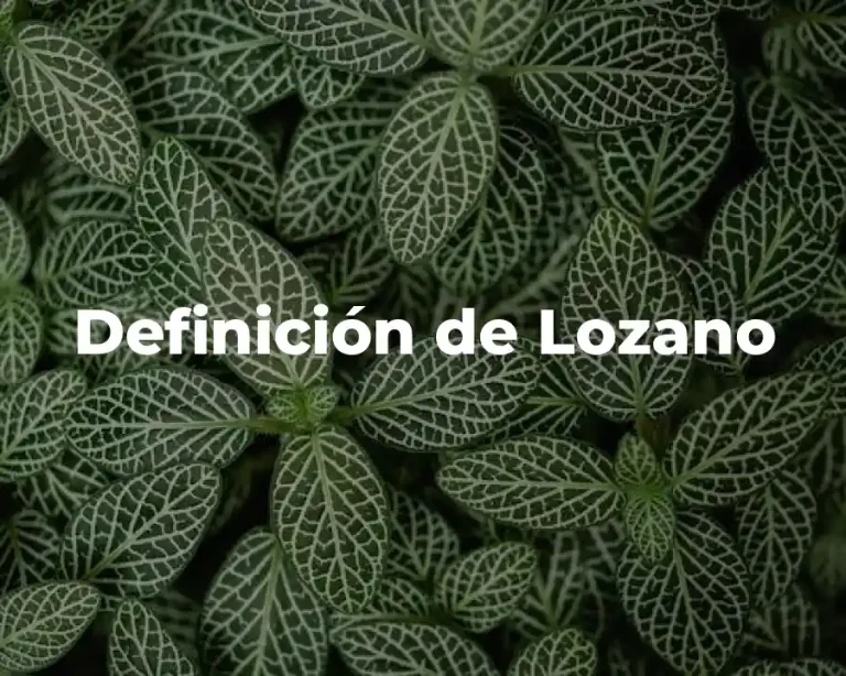 Definición de Lozano