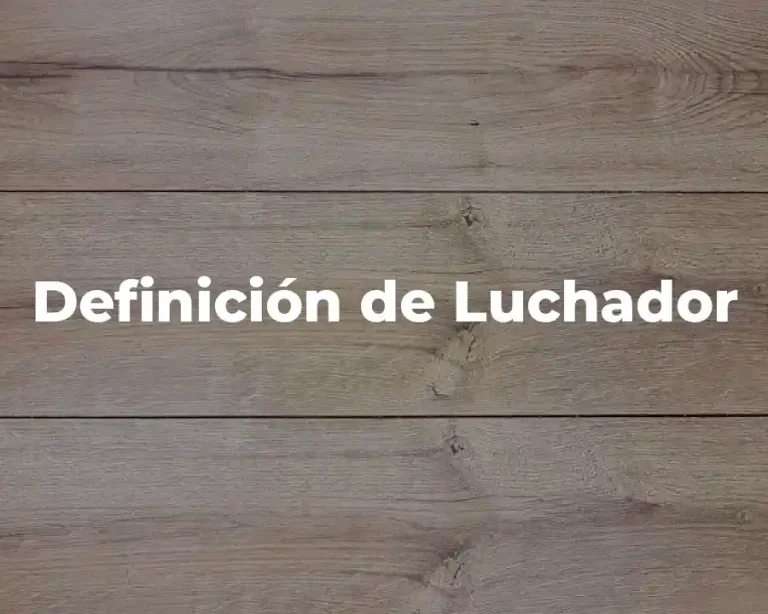 Definición de Luchador