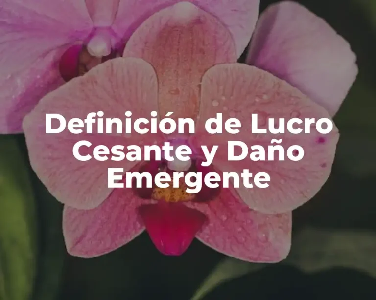 Definición de Lucro Cesante y Daño Emergente