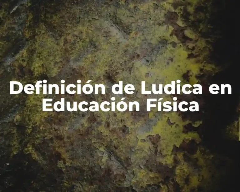 Definición de Ludica en Educación Física