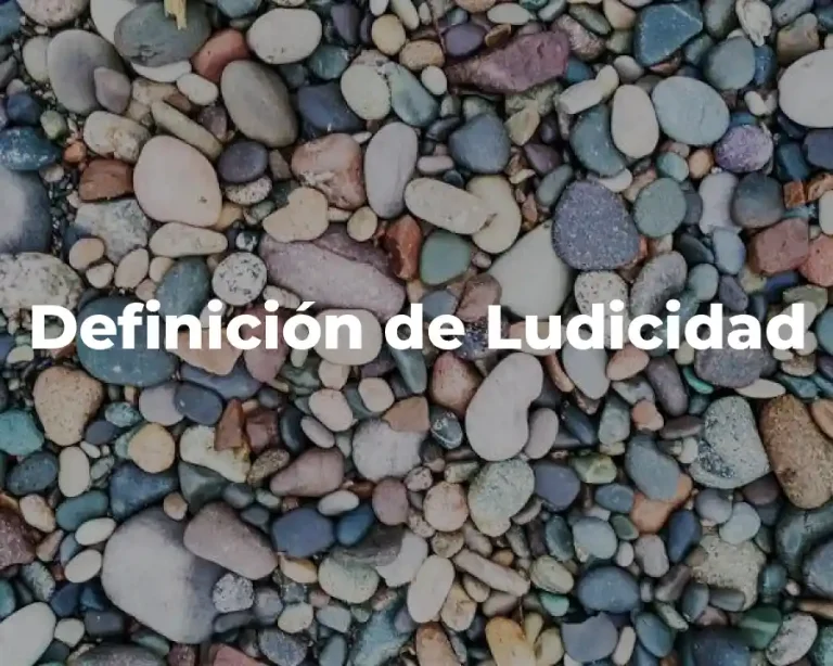Definición de Ludicidad