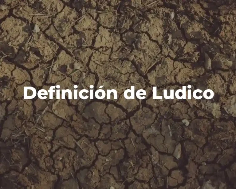 Definición de Ludico