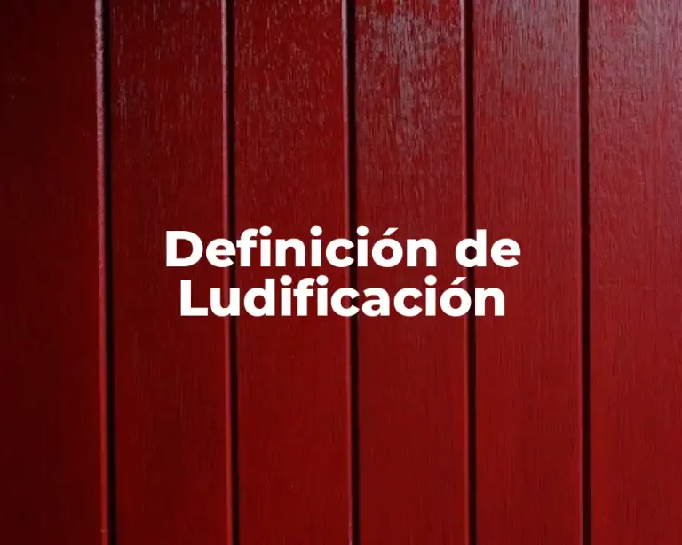Definición de Ludificación