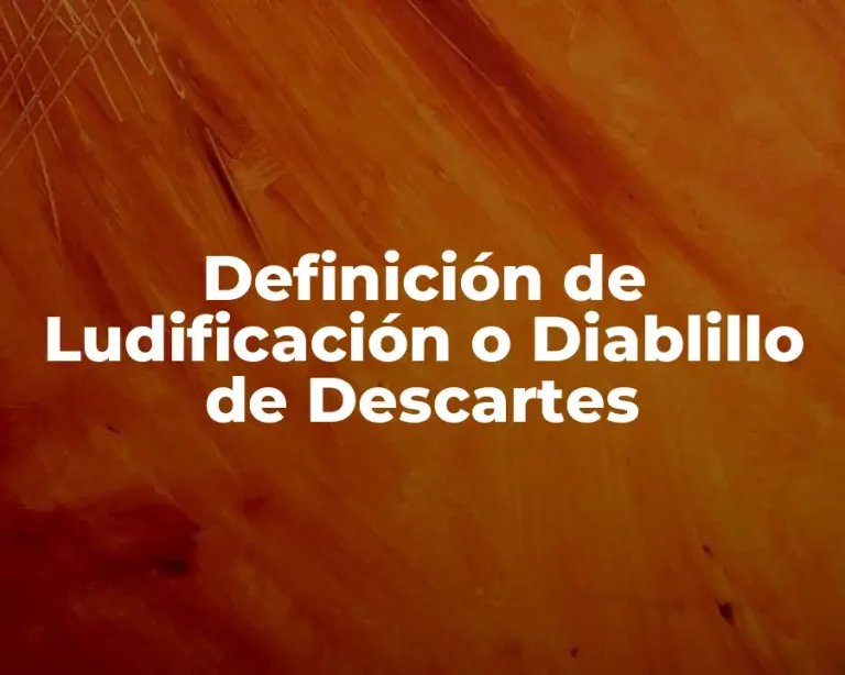 Definición de Ludificación o Diablillo de Descartes