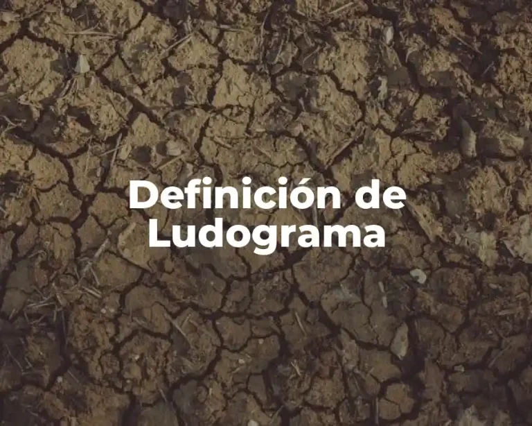 Definición de Ludograma