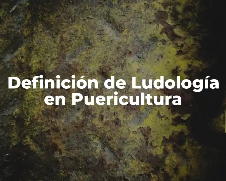 Definición de Ludología en Puericultura