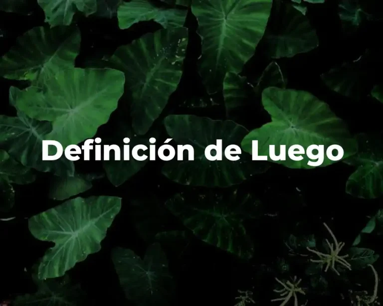 Definición de Luego