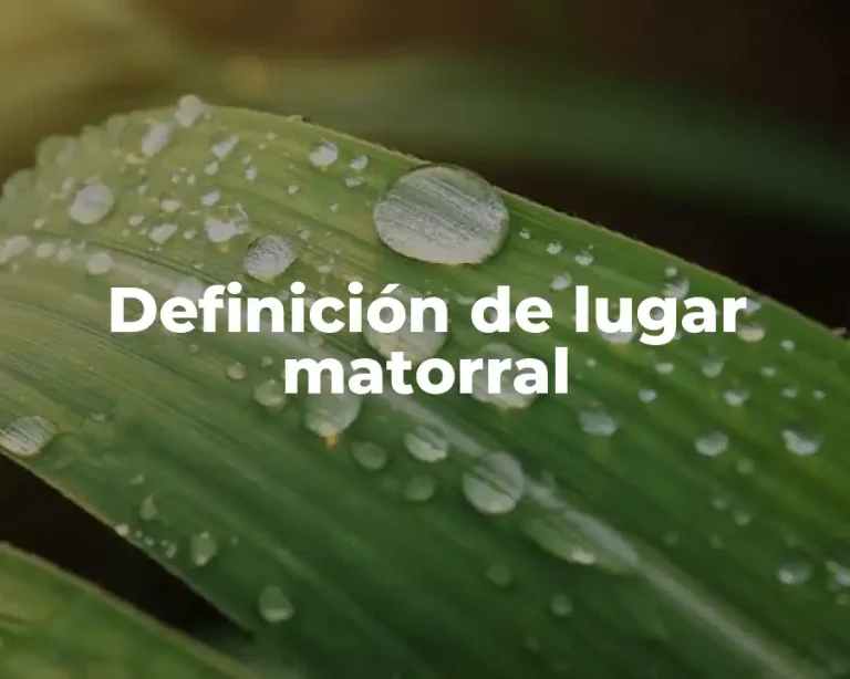 Definición de lugar matorral