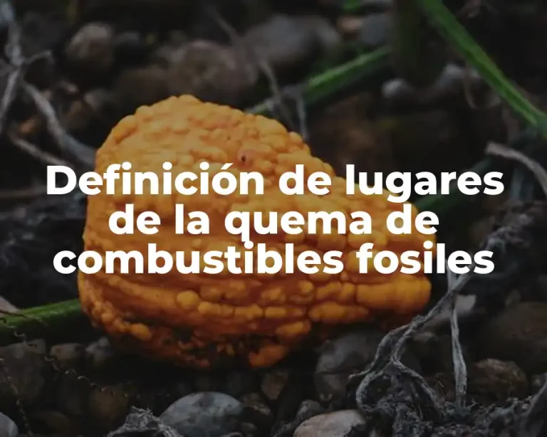Definición de lugares de la quema de combustibles fosiles