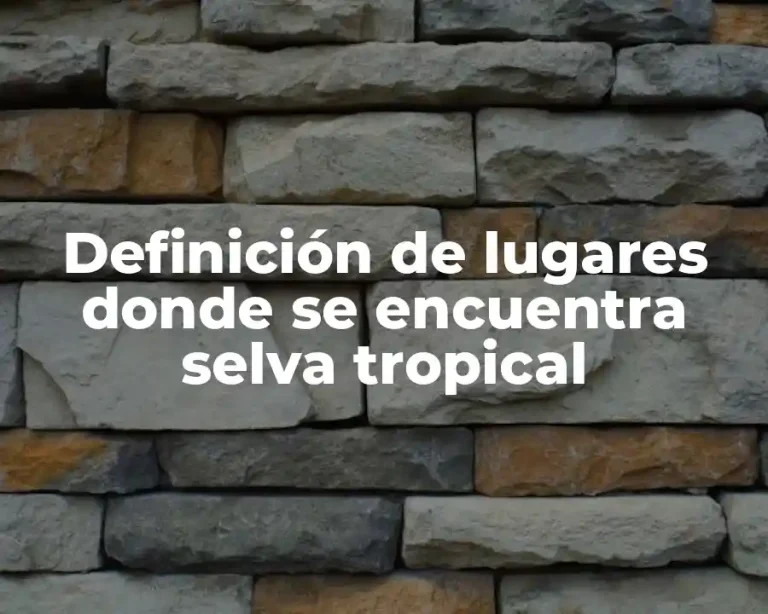 Definición de lugares donde se encuentra selva tropical