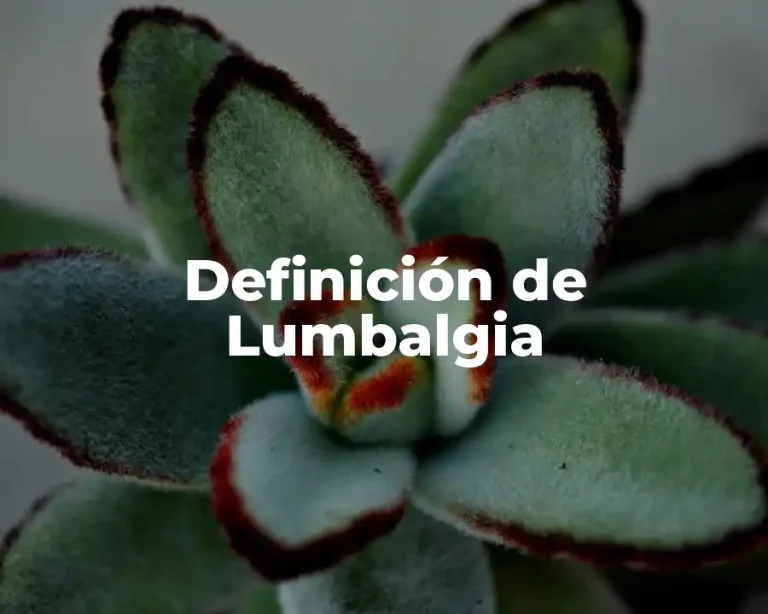 Definición de Lumbalgia