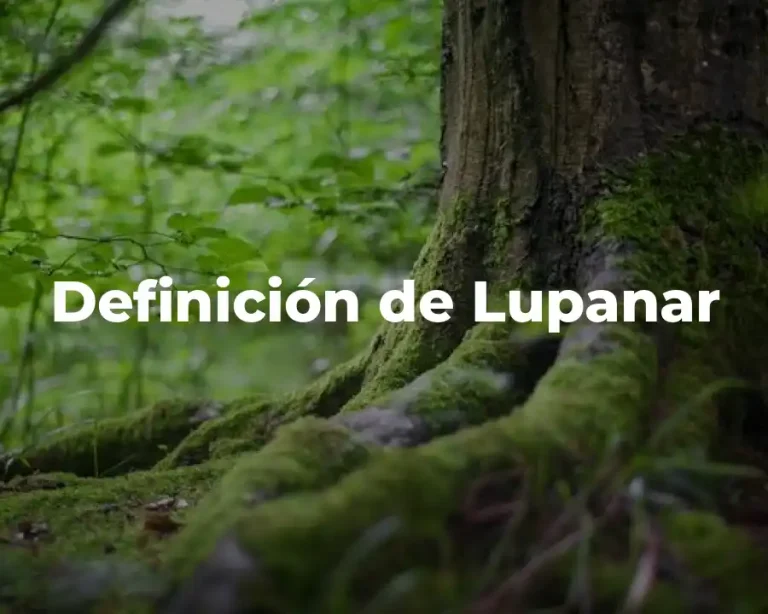 Definición de Lupanar