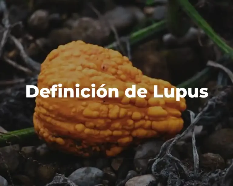 Definición de Lupus