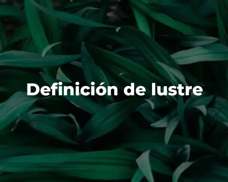 Definición de lustre
