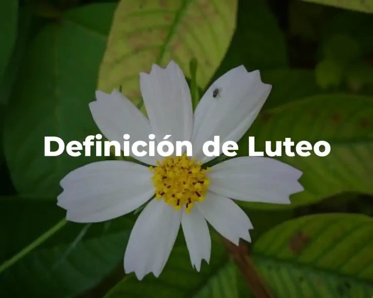 Definición de Luteo