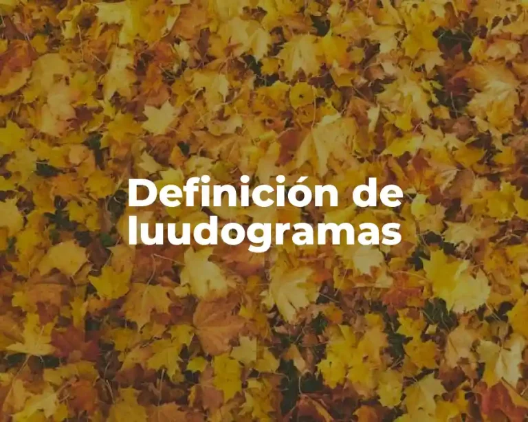 Definición de luudogramas