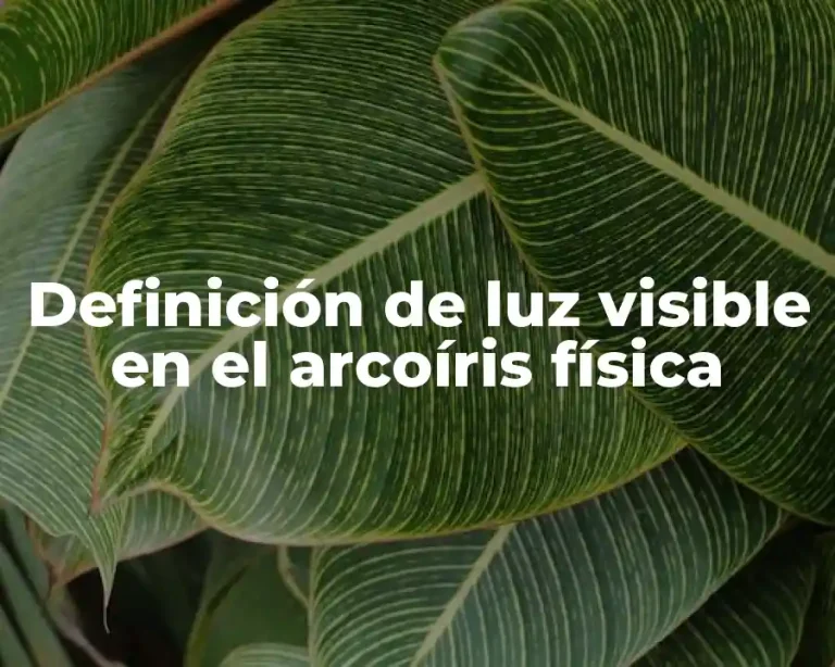 Definición de luz visible en el arcoíris física