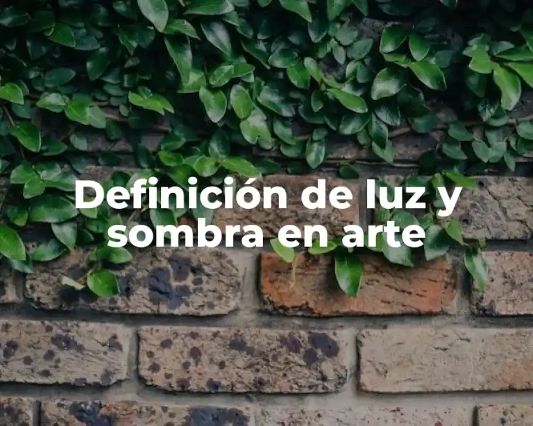 Definición de luz y sombra en arte