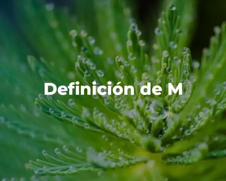 Definición de M