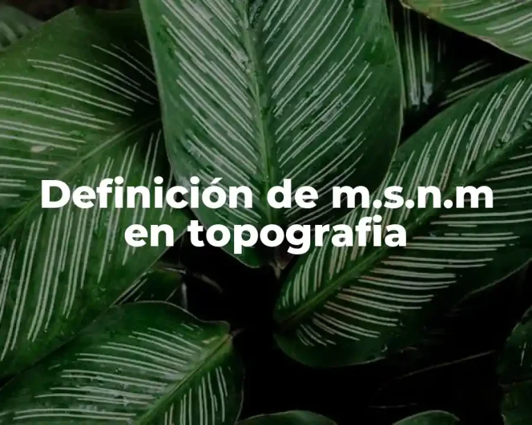 Definición de m.s.n.m en topografia