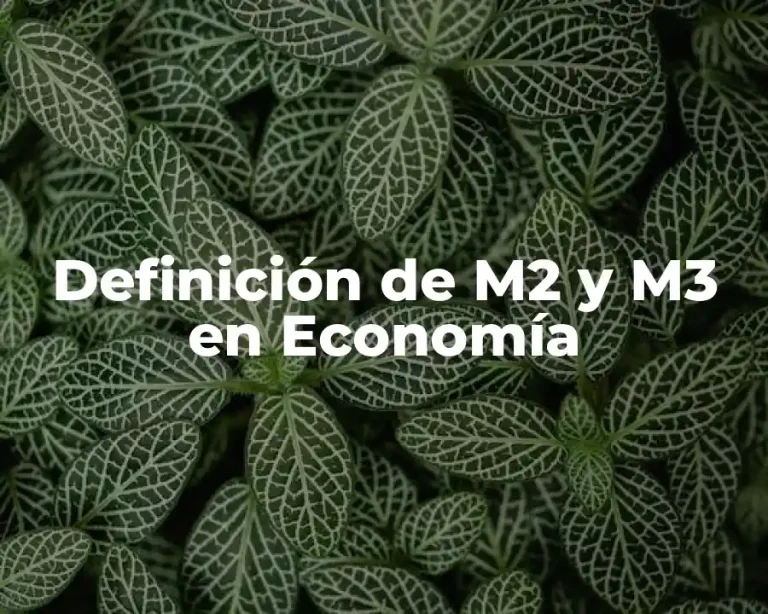 Definición de M2 y M3 en Economía
