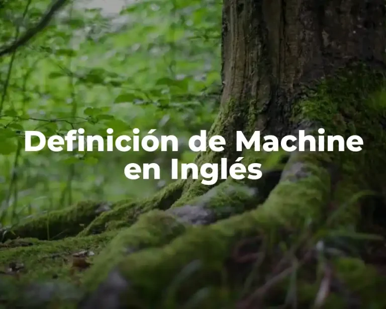 Definición de Machine en Inglés
