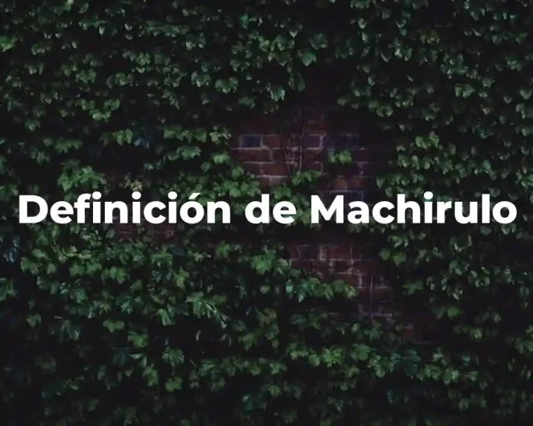 Definición de Machirulo