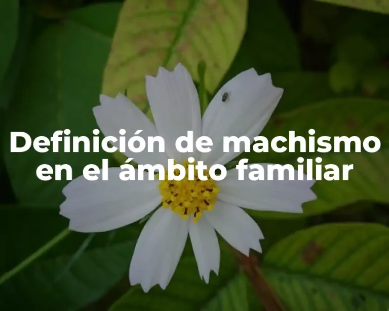 Definición de machismo en el ámbito familiar