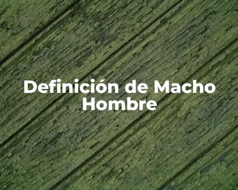 Definición de Macho Hombre