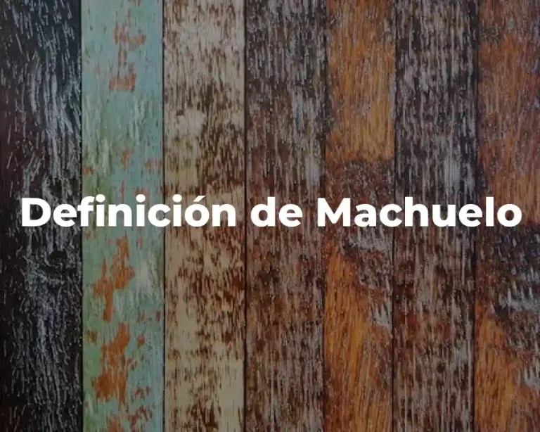 Definición de Machuelo
