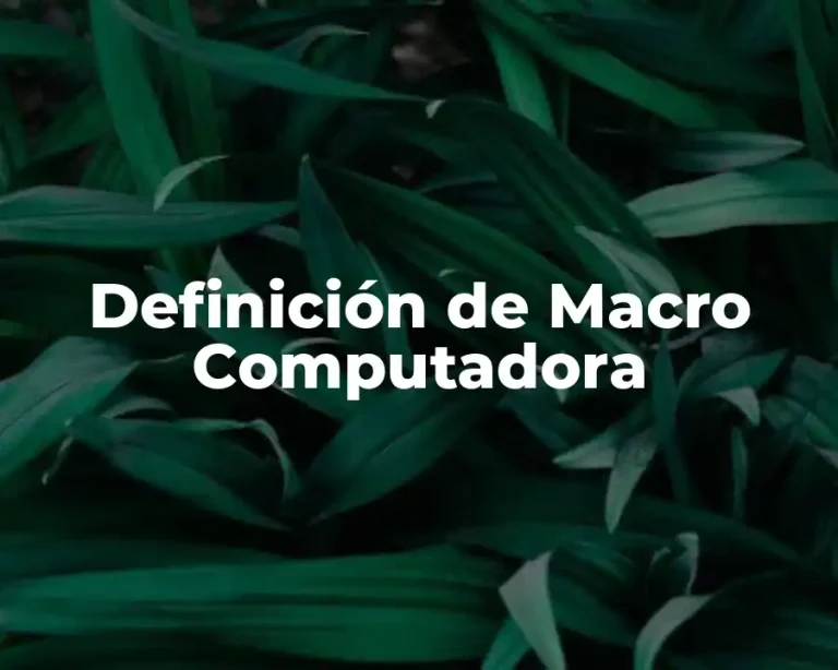 Definición de Macro Computadora