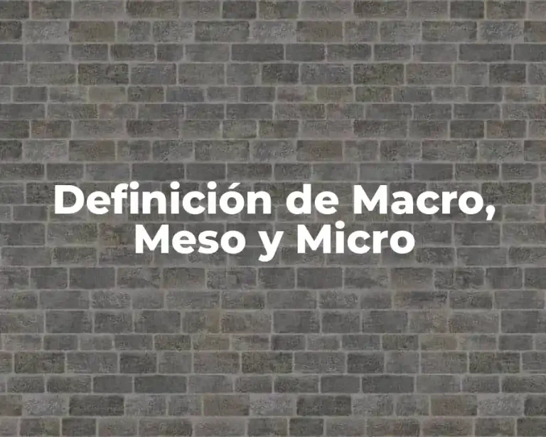 Definición de Macro, Meso y Micro
