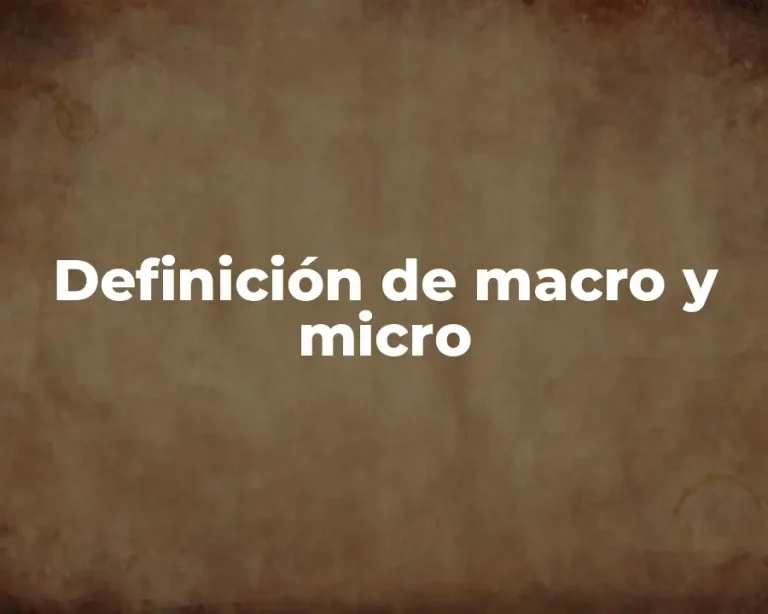 Definición de macro y micro