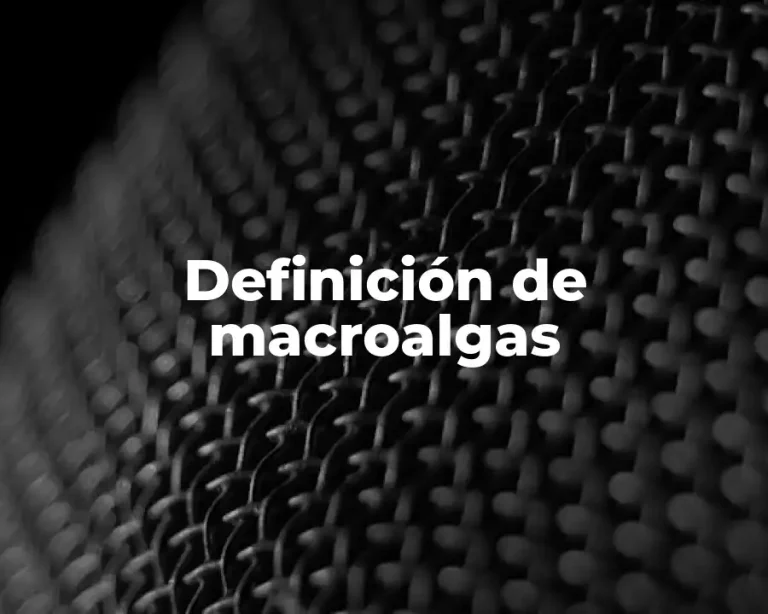 Definición de macroalgas