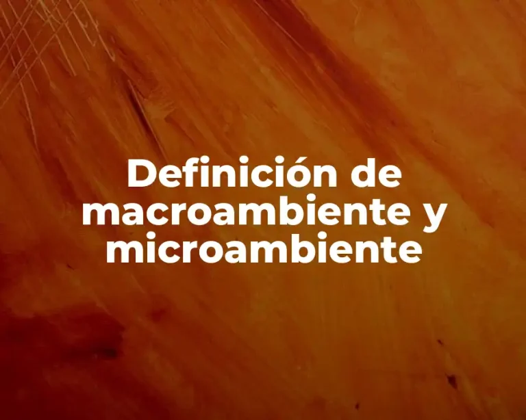 Definición de macroambiente y microambiente