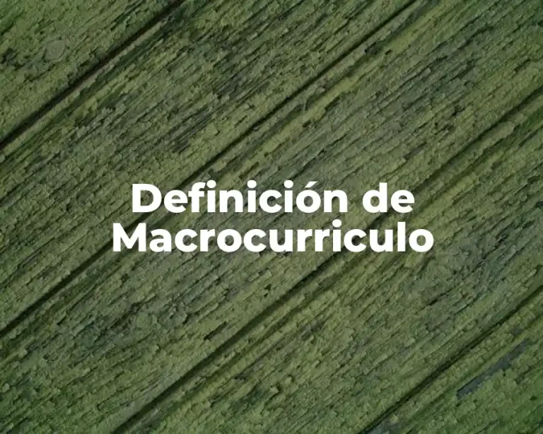 Definición de Macrocurriculo