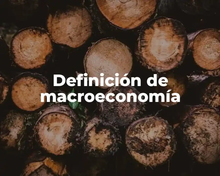 Definición de macroeconomía