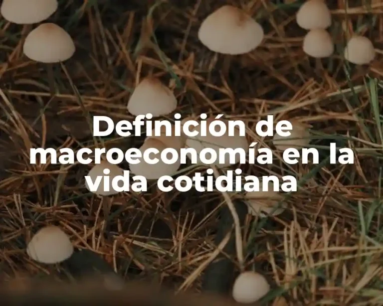 Definición de macroeconomía en la vida cotidiana