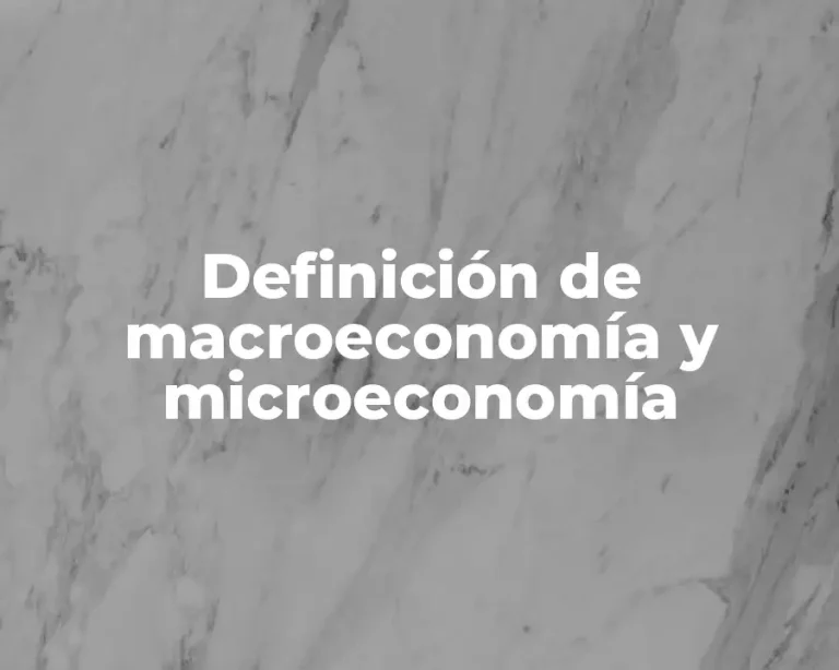 Definición de macroeconomía y microeconomía