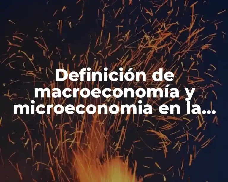 Definición de macroeconomía y microeconomia en la vida cotidiana