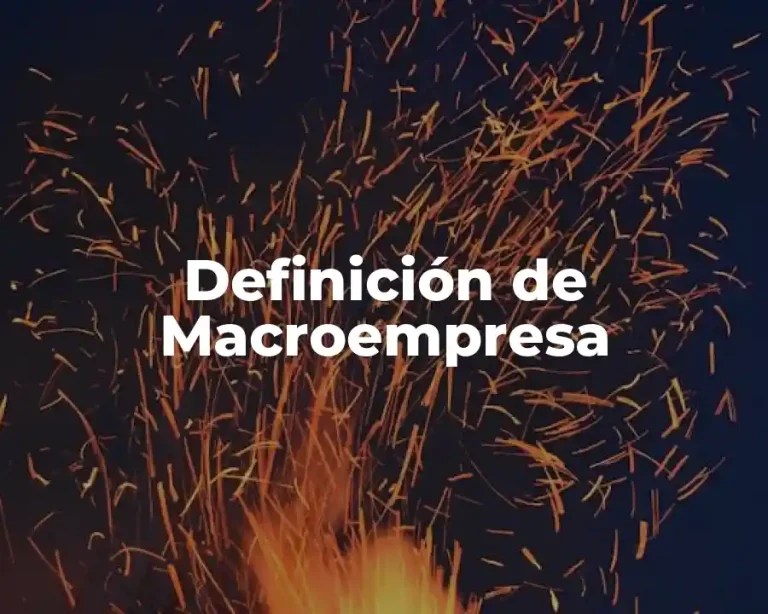 Definición de Macroempresa