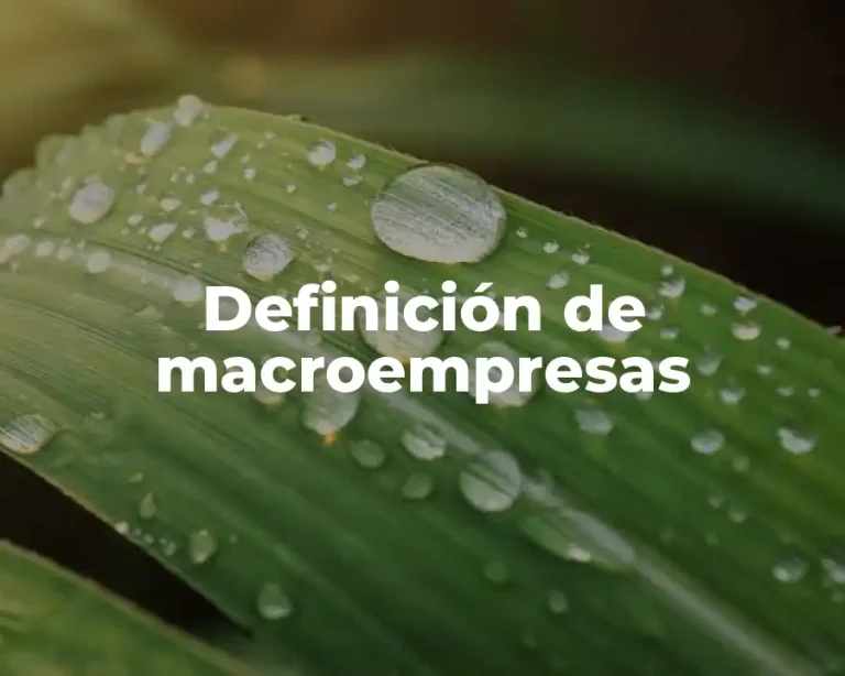 Definición de macroempresas