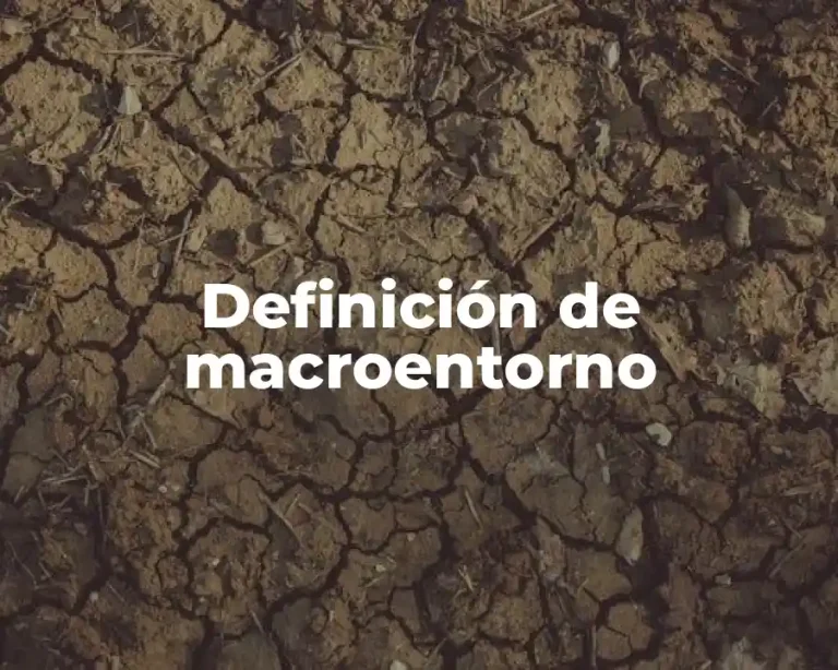 Definición de macroentorno