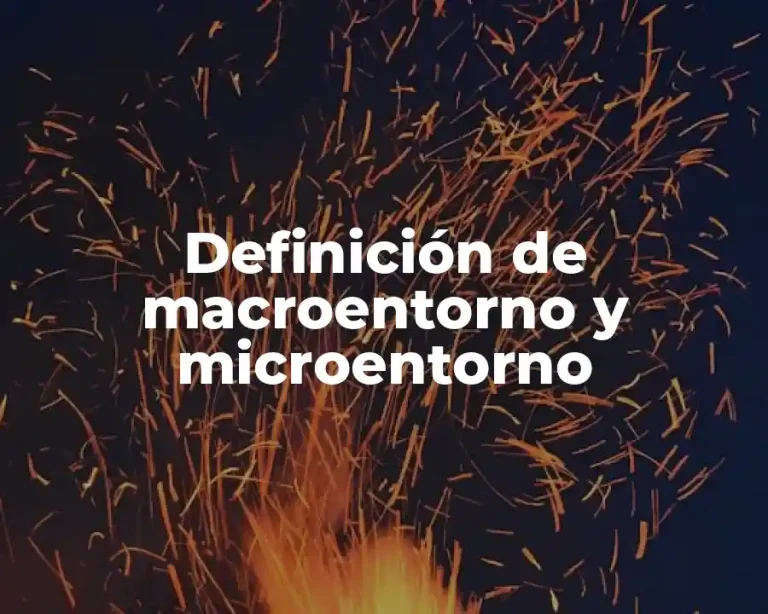 Definición de macroentorno y microentorno