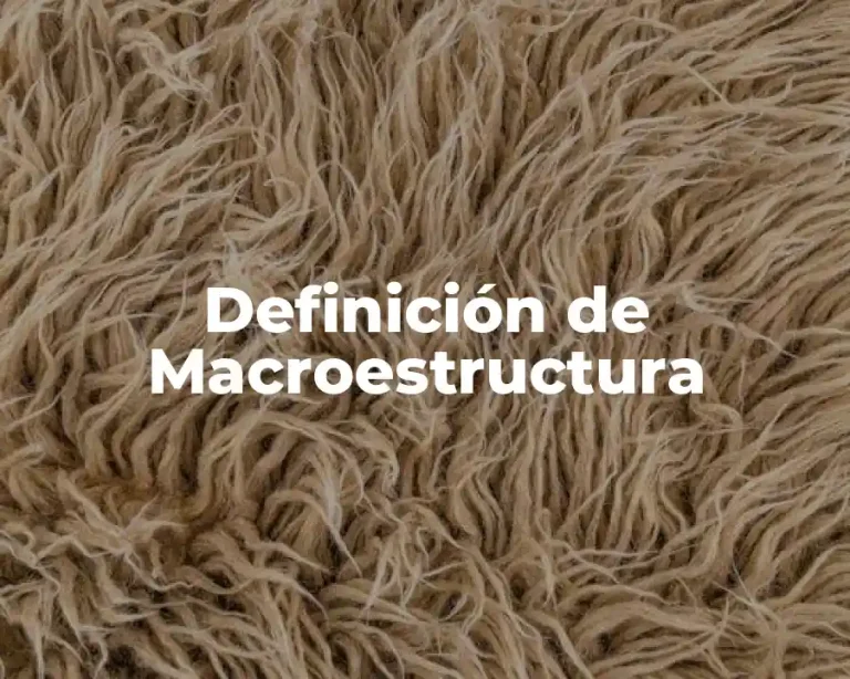 Definición de Macroestructura