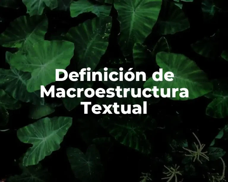 Definición de Macroestructura Textual