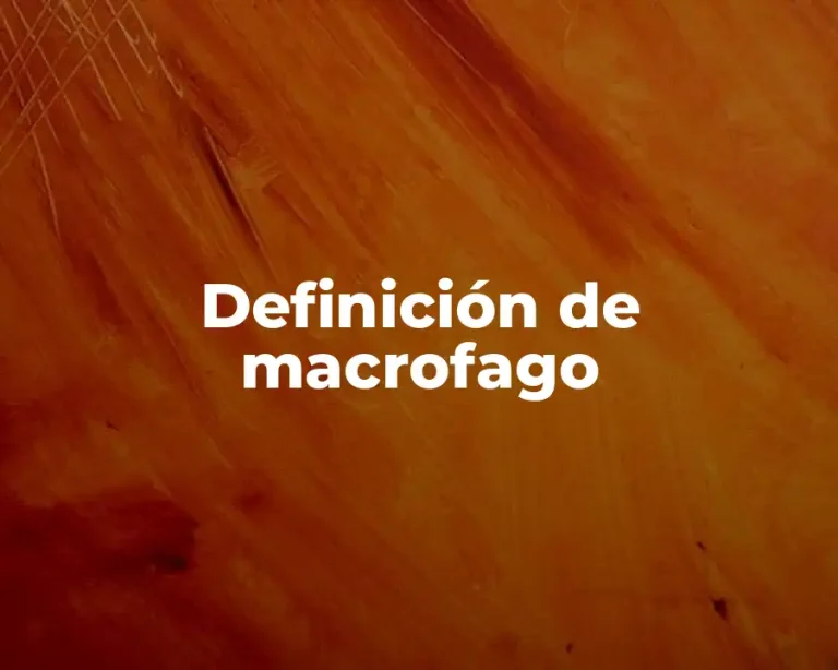 Definición de macrofago
