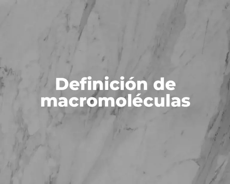 Definición de macromoléculas